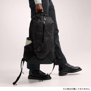 Arcteryx Arro 22L Backpack / ALL BLACK (全黑LOGO)